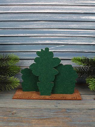 Сад суккулентов