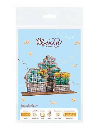 Сад суккулентов