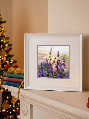 Цветущая лаванда