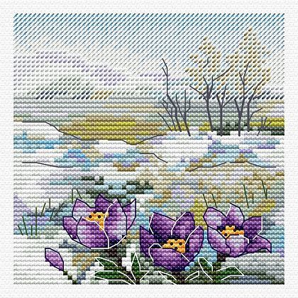 Первые цветы