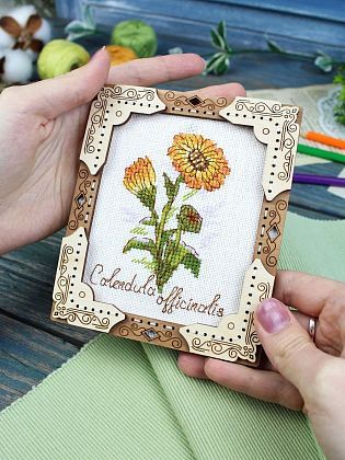 Миниатюра. Календула