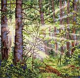 Солнечный лес