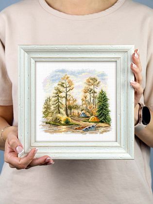 В сосновом лесу