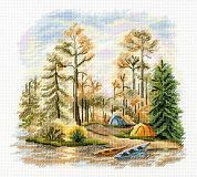 В сосновом лесу