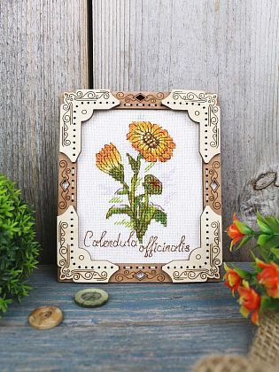 Миниатюра. Календула