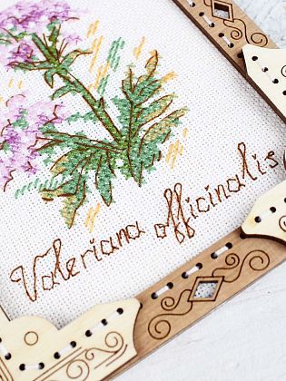 Миниатюра. Валериана