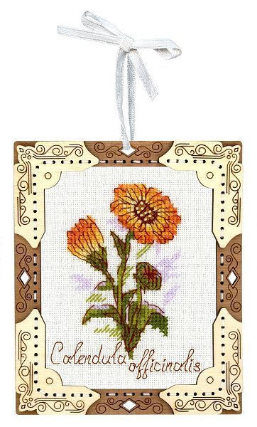 Миниатюра. Календула